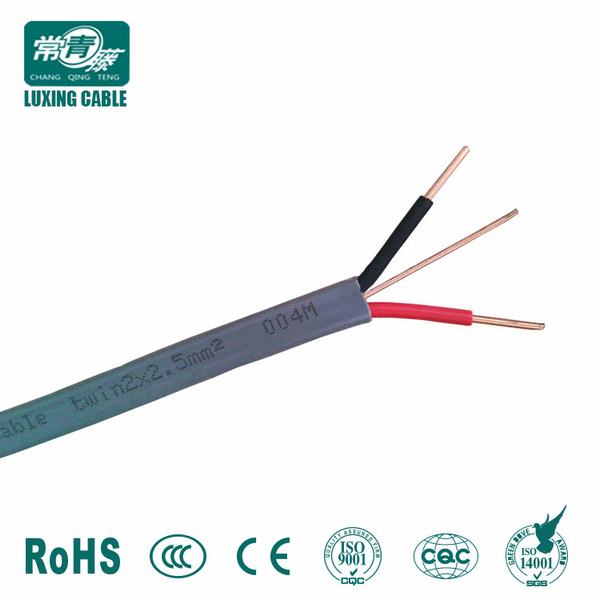 Chine 
                                 300/500V 2C+E Câble plat de la Terre TPS                              fabrication et fournisseur