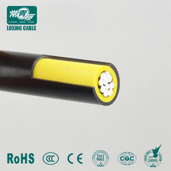 Chine 
                                 300/500V noyau unique à double isolation du câble de câblage de surface                              fabrication et fournisseur