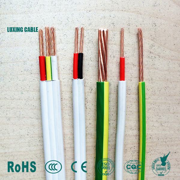 China 
                        450/750V Household Appliances Insulation Easy Cutting Electric Wire
                      manufacture and supplier