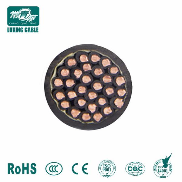 China 
                        450/750V XLPE Insulated PVC Sheathed Rigid Conductor Control Cable
                      manufacture and supplier