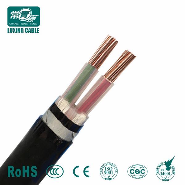 Factory Supply 2 Core 10mm2 LV Armoured XLPE Cable