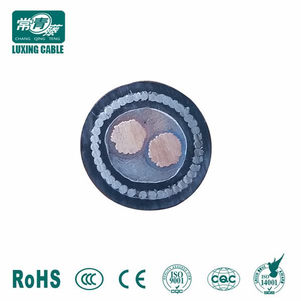 China 
                        High Quality Armoured Low Voltage 2 Core Power Cables with XLPE Insulated
                      manufacture and supplier