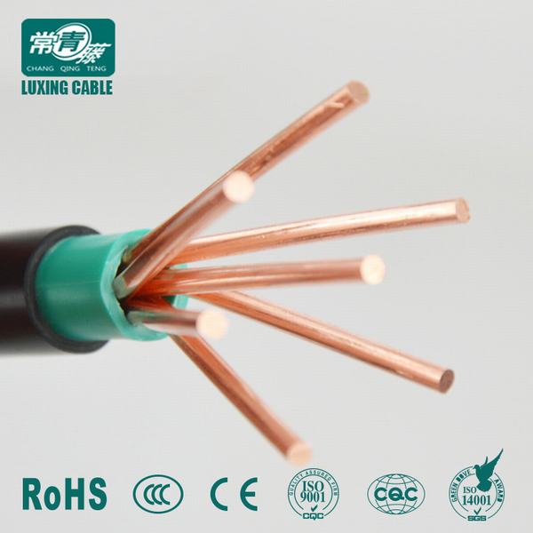 Chine 
                                 La norme CEI 60227 10 (BVV) 300/500V Câble à gaine en PVC de lumière                              fabrication et fournisseur