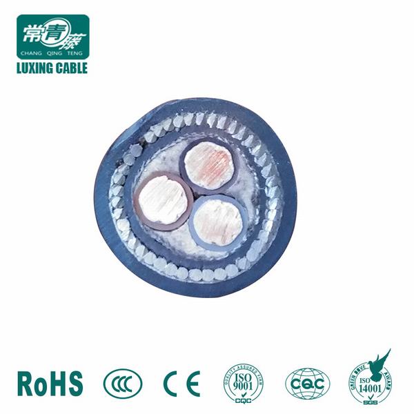 China 
                                 Tipo de baixa tensão e de material condutor de cobre XLPE/Cu/PVC/Sta/PVC Cabo Blindado                              fabricação e fornecedor