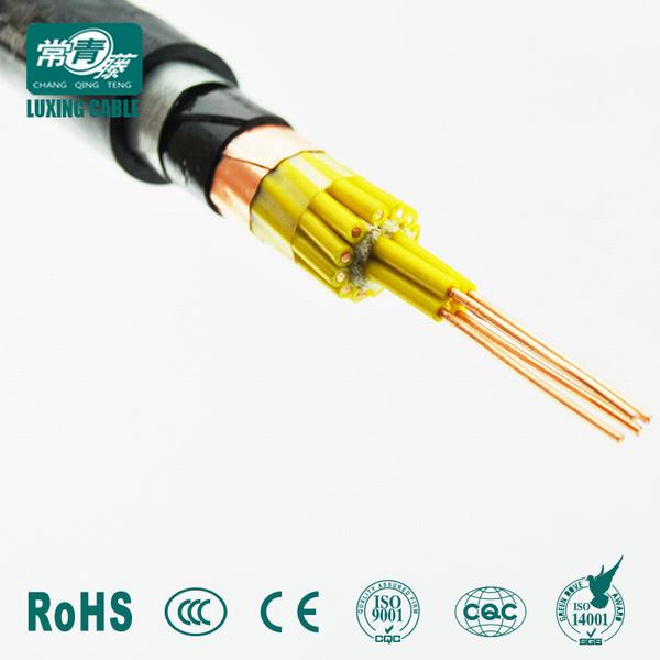 China 
                        Nycy/Nycwy 0, 6/1 Kv From Luxing Cable Factory
                      manufacture and supplier