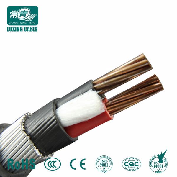 China 
                                 El cable blindado de Metro cable de alimentación XLPE                              fabricante y proveedor