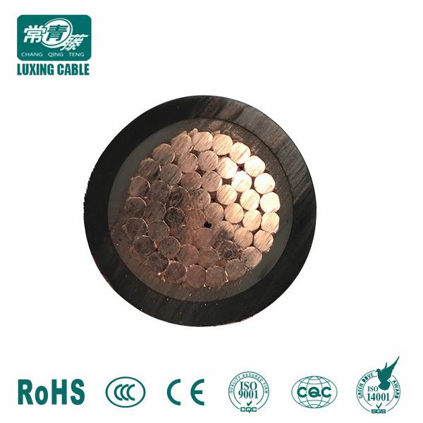 Xv (U1000R2V) (XLPE/PVC) 0, 6/1 Kv From Luxing Cable Factory