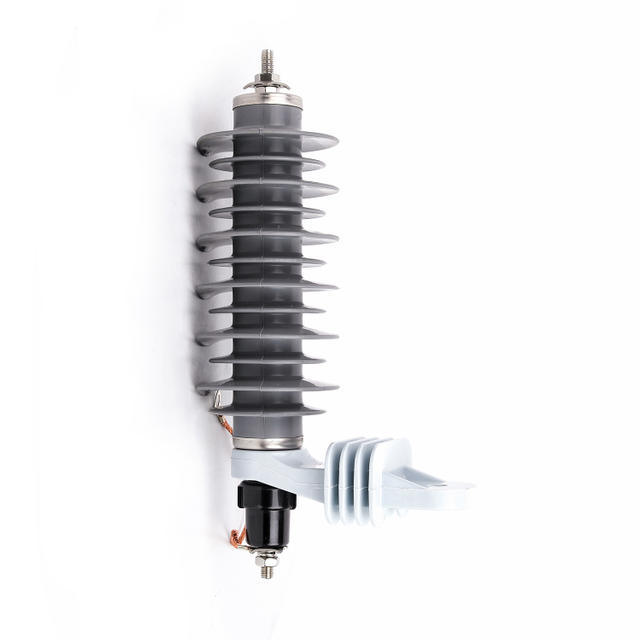 China 
                15kv Polymeric Housed Metal-Oxide Lightning Arrester Without Gaps
              manufacture and supplier