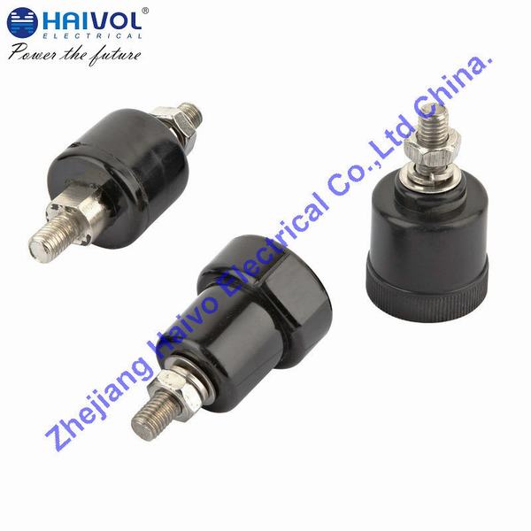 China 
                        Disconnectors for Metal- Oxide Surge Arrester
                      manufacture and supplier