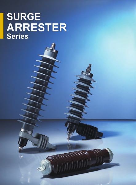China 
                        Polymeric Housed Zinc Oxide Lightning Surge Arresters Series
                      manufacture and supplier