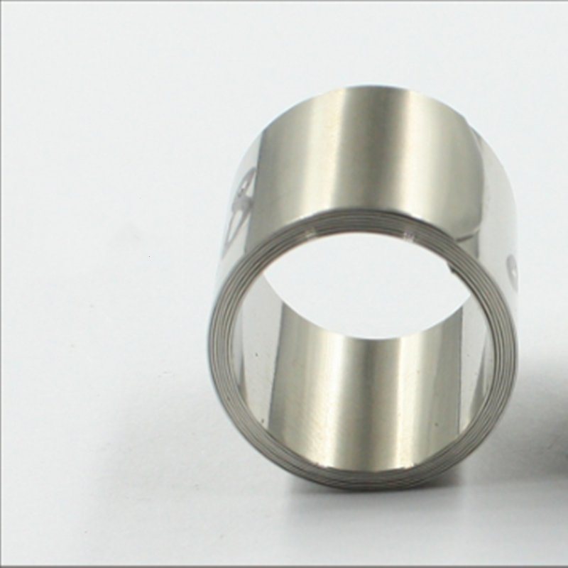 
                Molle a rullo a forza costante non magnetica in acciaio inox da 24 mm
            