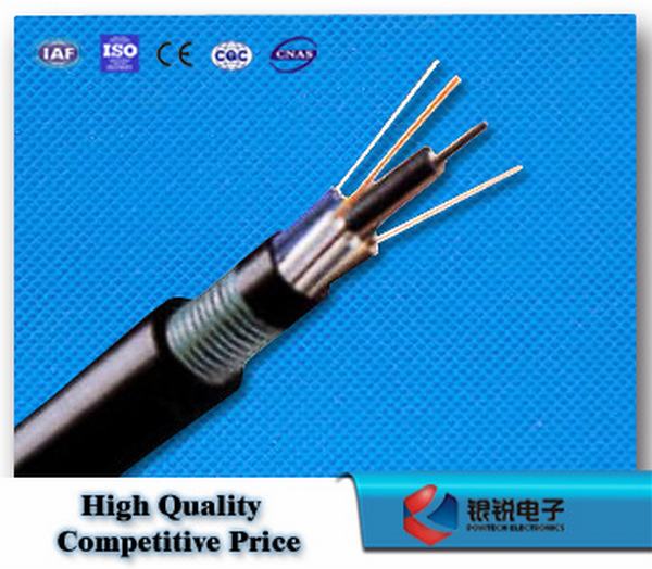 China 
                                 Blindados y recubierto de doble cable de fibra al aire libre (GYTY53)                              fabricante y proveedor