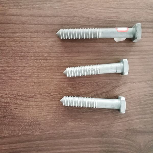 China 
                        Galvanized Hexagon Lag Screw for Pole Line Hardware
                      manufacture and supplier