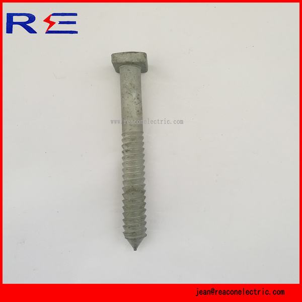 China 
                        Galvanized Lag Screw for Pole Line Hardware
                      manufacture and supplier