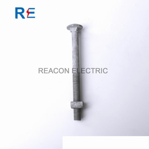 China 
                        Round Head Carriage Bolt for Pole Line Hardware Hot DIP Galvanized
                      manufacture and supplier