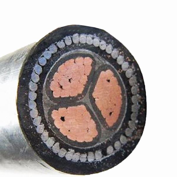 China 
                                 0.6/1kv 3*35mm2 aislamiento de PVC EL PVC o PE funda cable Nyy                              fabricante y proveedor