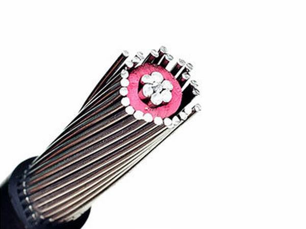 China 
                        0.6/1kv Aluminum Alloy Conductor XLPE Insulated Concentric Cable 3*4AWG
                      manufacture and supplier