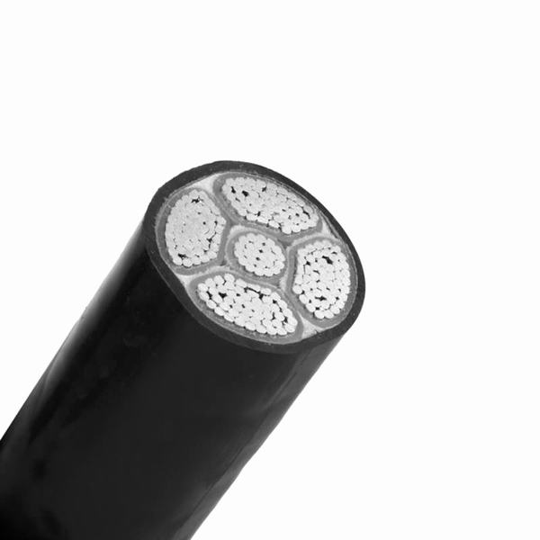 China 
                        0.6/1kv Yjlv Aluminum Conductor PVC Insulated Power Cable
                      manufacture and supplier