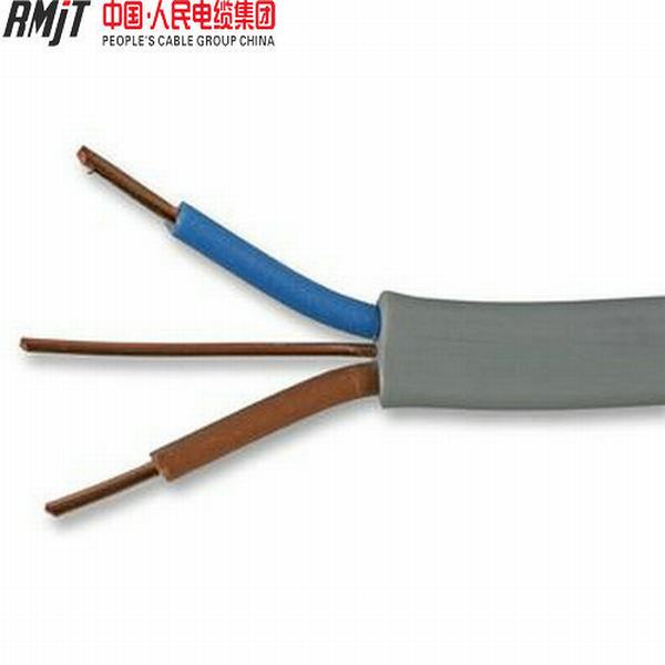 China 
                                 Doble y tierra de 16mm cable de la construcción de la norma BS6004                              fabricante y proveedor