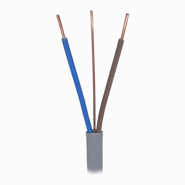 China 
                        300/500V Copper Conductor Twins and Earth PVC Ecc Electrical Wire
                      manufacture and supplier