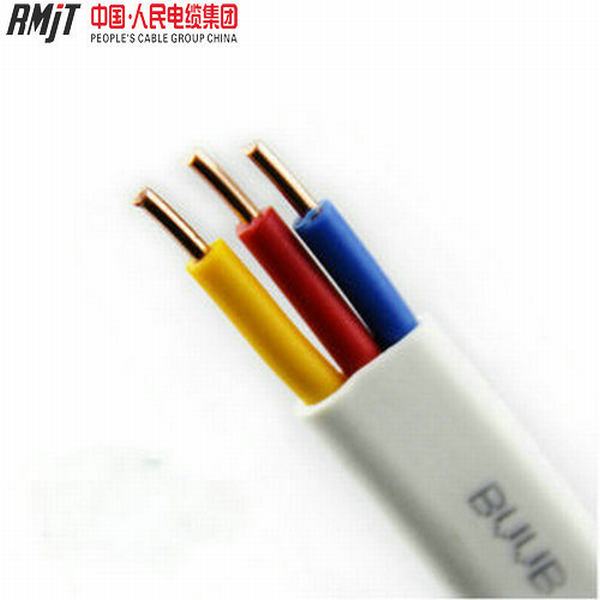 China 
                        450/750V 2.5mm Electrical Wire Flat TPS Twin and Earth Cable
                      manufacture and supplier