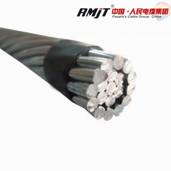 China 
                                 50mm2 HD AA AAC Conductor Ant.                              fabricante y proveedor