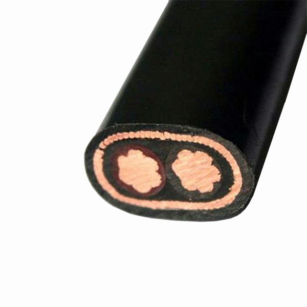 600V 3 Cores Flat Type 60% Coverage Copper Aluminum Phase Neutral Conductor XLPE Insulated PVC Sheath Concentric Cable