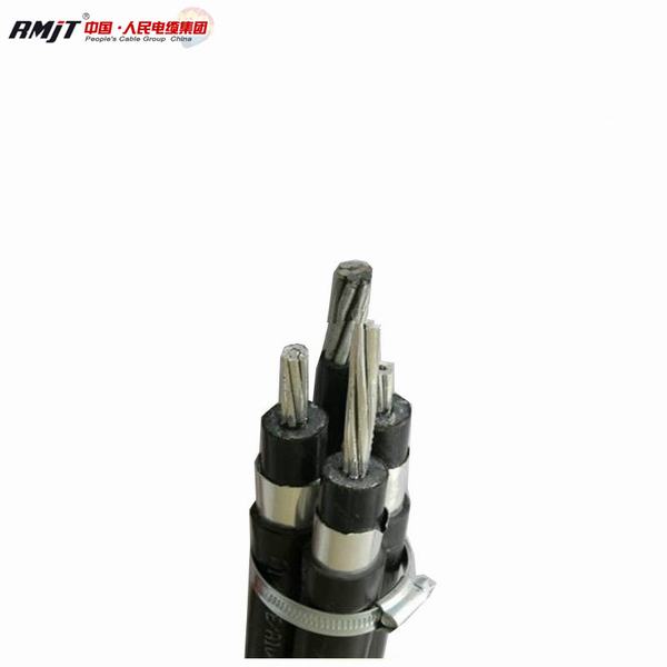 China 
                        8.7/15kv 18/30kv Na2xsa2y-S N2xs2y-S Overhead Cable
                      manufacture and supplier