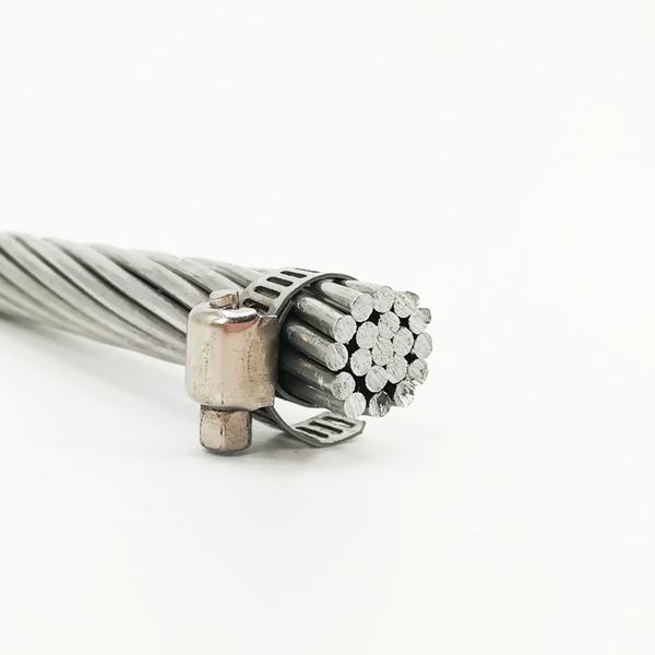 China 
                        Aluminium Conductor Overhead Cable ACSR Conductor
                      manufacture and supplier