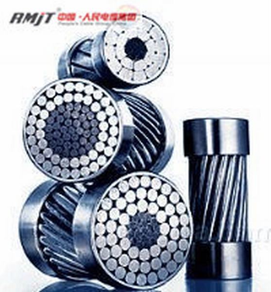 China 
                        Aluminum Conductor Aluminum Clad Steel Reinforced ACSR/Aw Electrical Cable for Power Transmission
                      manufacture and supplier