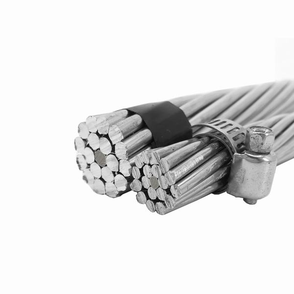 China 
                                 El conductor de aluminio Cable estándar AAC/ACSR/AAAC                              fabricante y proveedor
