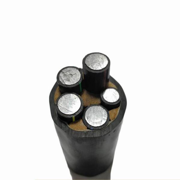 China 
                        Aluminum Core XLPE Insulated Swa Armoured Electrical Power Cable
                      manufacture and supplier