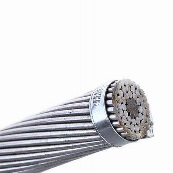 China 
                                 BS215 Cable eléctrico desnudo Cable de alimentación de techo aluminio conductores ACSR                              fabricante y proveedor