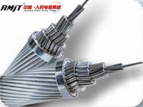 Chine 
                                 La norme BS215 Chien ACSR conducteur                              fabrication et fournisseur
