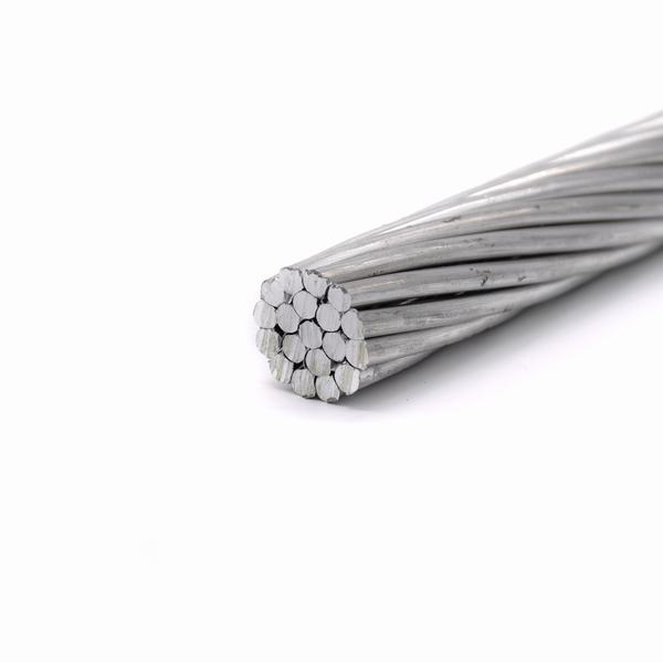 China 
                        Bare Aluminum Cable All Aluminum AAC Conductor
                      manufacture and supplier