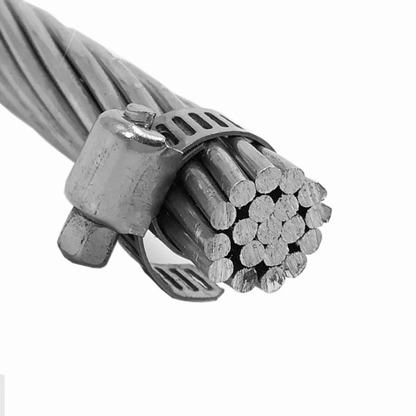 China 
                                 La sobrecarga desnudo cable conductor trenzado AAAC                              fabricante y proveedor