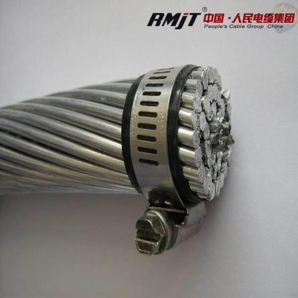 China 
                                 Brasilien Standard Stahl Rainforced Caa Leiter/Kabel                              Herstellung und Lieferant