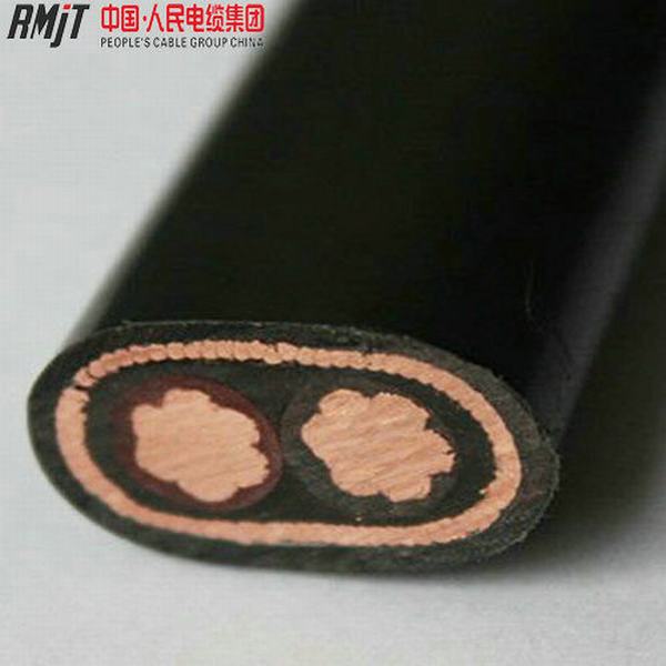 China 
                                 Conductor de cobre del cable concéntrico 2X8AWG 2X10AWG 3X6AWG                              fabricante y proveedor