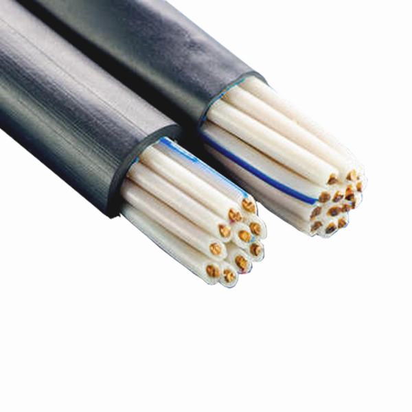 China 
                        Copper Core PVC Insulation & Sheath Control Cable for Instrument Control
                      manufacture and supplier
