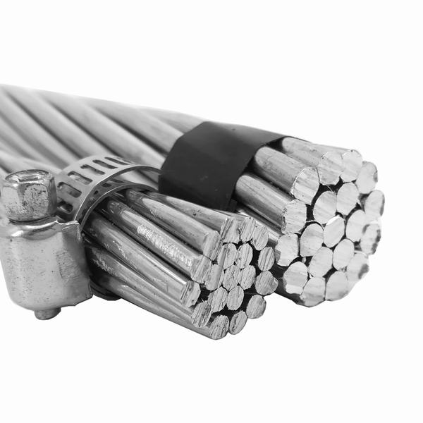 China 
                                 Elektrisches kabel-Fabrik AAAC aller Aluminiumlegierung-Leiter für Übertragungs-Zeile                              Herstellung und Lieferant