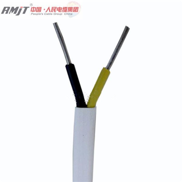 China 
                        Flat Aluminum Core PVC Coated Blvvb Electrical Cable Wire 450/750V
                      manufacture and supplier