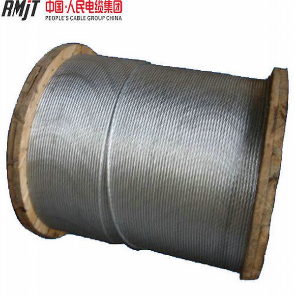 China 
                        Galvanized Steel Wire/Stay Wire/Guy Wire for Fence Mesh
                      manufacture and supplier