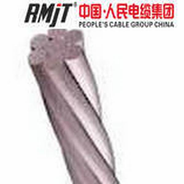 China 
                                 Alambre de acero galvanizado de 3/4 de pulgada Strand                              fabricante y proveedor