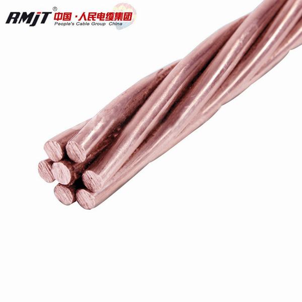 China 
                                 Disco sacado conductor trenzado de alambre de cobre desnudo                              fabricante y proveedor