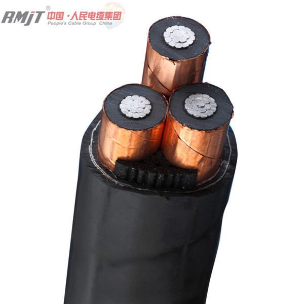 China 
                        High Voltage 20kv 33kv 66kv XLPE Insulated Electrical Power Cable
                      manufacture and supplier