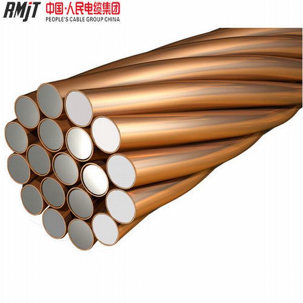 
                                 Heißes Verkaufs-Strang-Kupfer-plattierter Stahldraht (CCS)                            