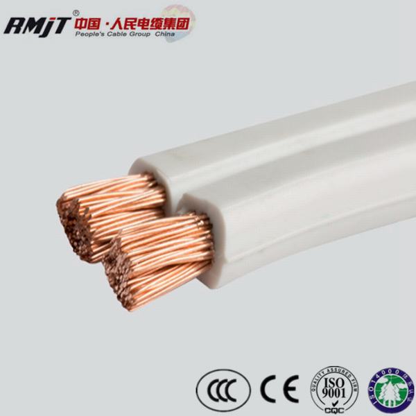 China 
                        Indoor Used 2*1.5mm Low Voltage Spt Wire Electric Building Wire Twin Cores Parallel Wire
                      manufacture and supplier
