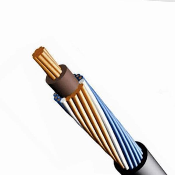 Low Voltage PVC Insulated Sheath Copper Aluminum Alloy Stranded Neutral Phase Concentric Conductor Power Wire Electric Cable