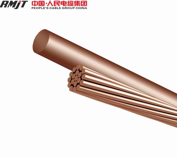 China 
                        Medium-Hard Drawn / Annealed Copper Wire
                      manufacture and supplier