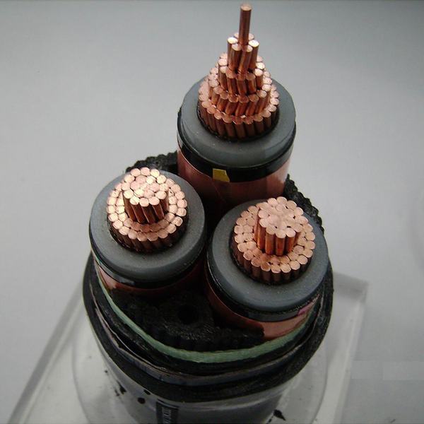 China 
                                 Medio Voltaje Tjv32 Yjv22 N2xy Nycy 11kv 33kv 3 Núcleos de alambre de acero de 70mm2 Swa Vehículos blindados de cinta de cobre / Pantalla de hilo conductor de cobre del cable de alimentación                              fabricante y proveedor